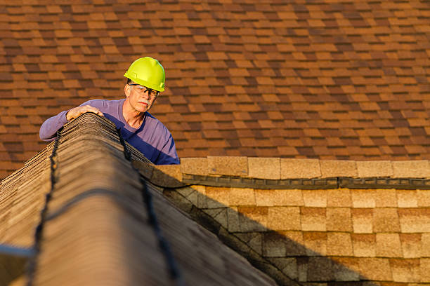 Best Storm Damage Roof Repair  in Clintondale, NY
